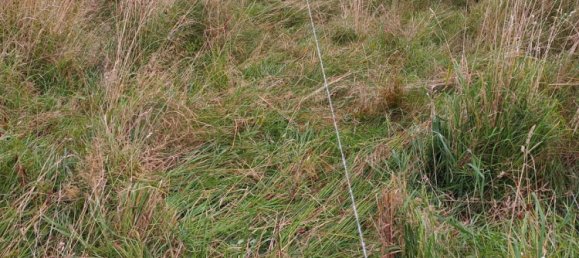  Land in Frankfurt am Main, Germany No. 350952 9