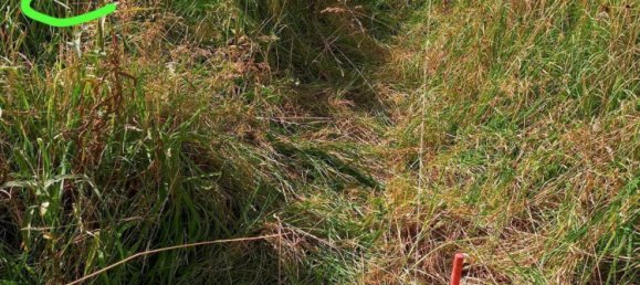  Land in Frankfurt am Main, Germany No. 350952 10