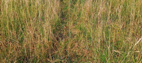  Land in Frankfurt am Main, Germany No. 350952 5