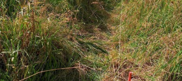  Land in Frankfurt am Main, Germany No. 350952 4