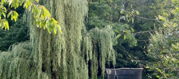 12-salle Maison à Zwickau, Germany No. 274313 17