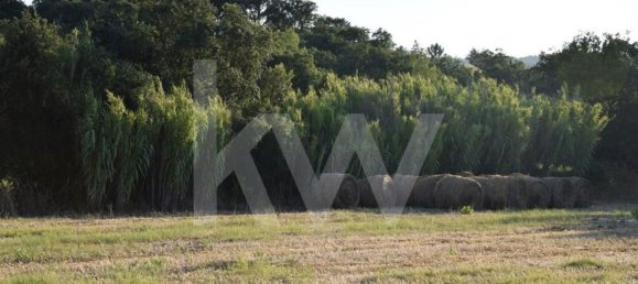 Terreno en Alenquer, Portugal 434030 m² No. 84953 24