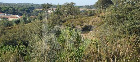 Terreno en Alenquer, Portugal 434030 m² No. 84953 9