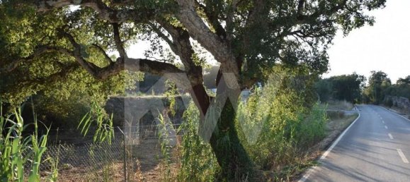 Terreno en Alenquer, Portugal 434030 m² No. 84953 32