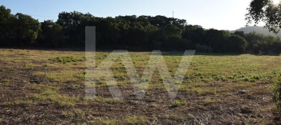 Terreno en Alenquer, Portugal 434030 m² No. 84953 28