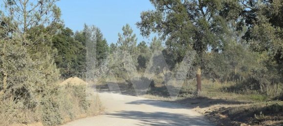 Terreno en Alenquer, Portugal 434030 m² No. 84953 6