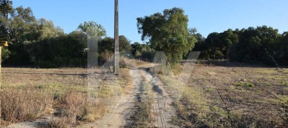 Terreno en Alenquer, Portugal 434030 m² No. 84953 27