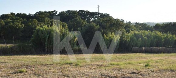 Terreno en Alenquer, Portugal 434030 m² No. 84953 22