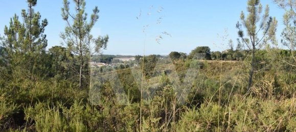 Terreno en Alenquer, Portugal 434030 m² No. 84953 10