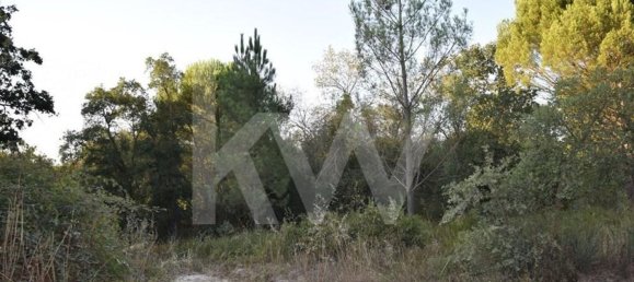 Terreno en Alenquer, Portugal 434030 m² No. 84953 33