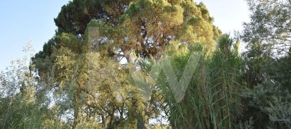 Terreno en Alenquer, Portugal 434030 m² No. 84953 16