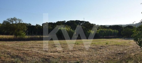 Terreno en Alenquer, Portugal 434030 m² No. 84953 21