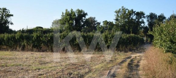 Terreno en Alenquer, Portugal 434030 m² No. 84953 26