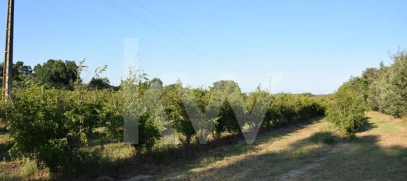 Terreno en Alenquer, Portugal 434030 m² No. 84953 15