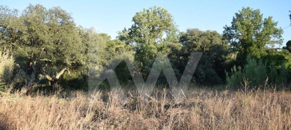 Terreno en Alenquer, Portugal 434030 m² No. 84953 29