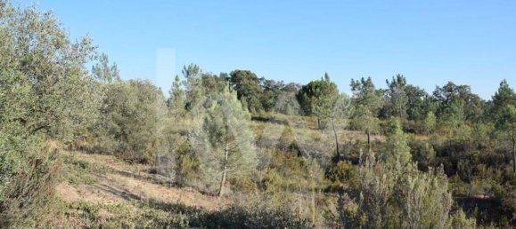 Terreno en Alenquer, Portugal 434030 m² No. 84953 4