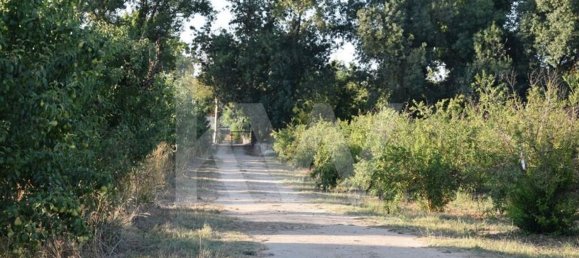 Terreno en Alenquer, Portugal 434030 m² No. 84953 20