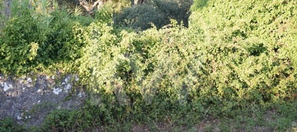 Terreno en Alenquer, Portugal 434030 m² No. 84953 31