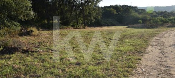 Terreno en Alenquer, Portugal 434030 m² No. 84953 19
