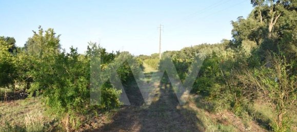 Terreno en Alenquer, Portugal 434030 m² No. 84953 17