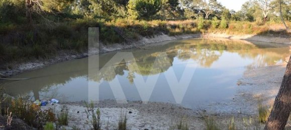 Terreno en Alenquer, Portugal 434030 m² No. 84953 11