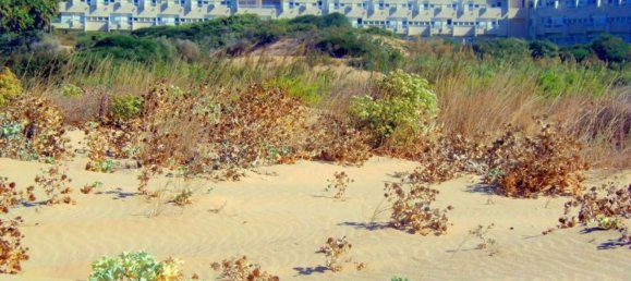 Земельный участок 31225м² в Рагуза, Италия № 145945 13