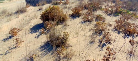 Земельный участок 31225м² в Рагуза, Италия № 145945 5