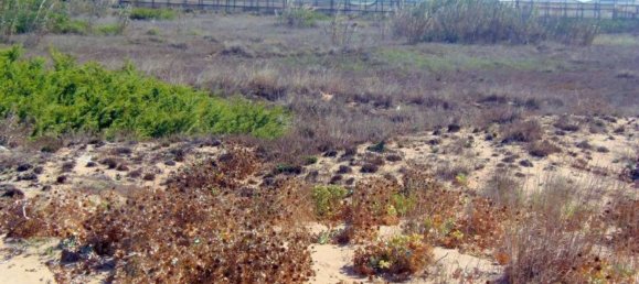 Земельный участок 31225м² в Рагуза, Италия № 145945 15