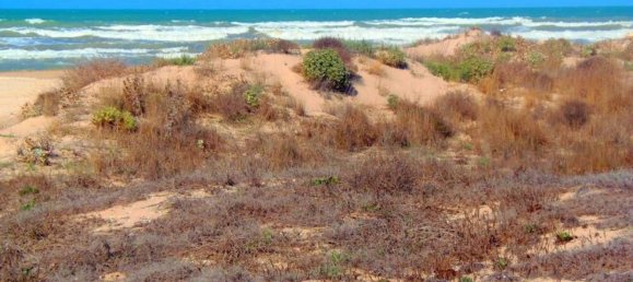 Земельный участок 31225м² в Рагуза, Италия № 145945 6