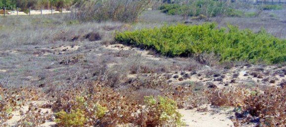 Земельный участок 31225м² в Рагуза, Италия № 145945 16