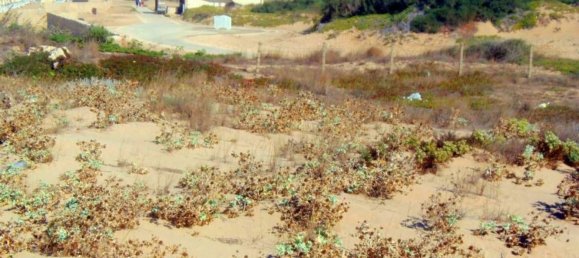 Земельный участок 31225м² в Рагуза, Италия № 145945 14