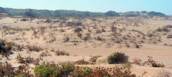 Земельный участок 31225м² в Рагуза, Италия № 145945 17