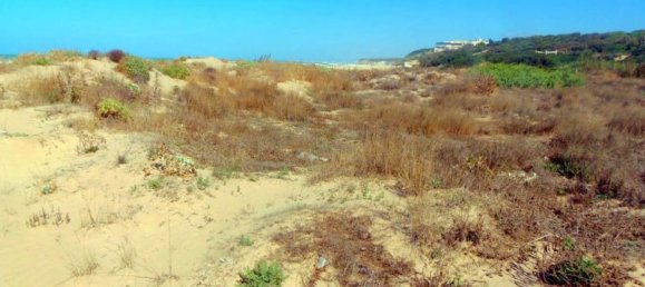 Земельный участок 31225м² в Рагуза, Италия № 145945 12