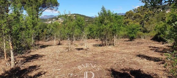 2096m² Land in Zonza, France No. 91294 5