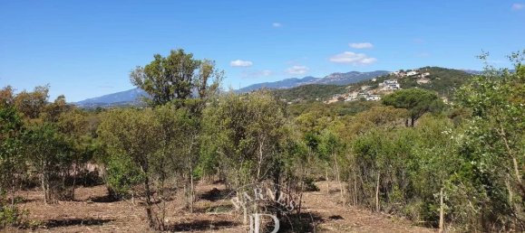 2096m² Land in Zonza, France No. 91294 4