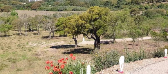 2096m² Land in Zonza, France No. 91294 3