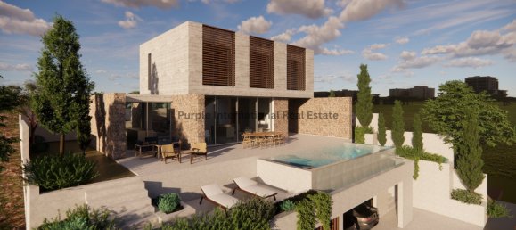 4 bedrooms Villa in Chloraka, Cyprus No. 3305 3