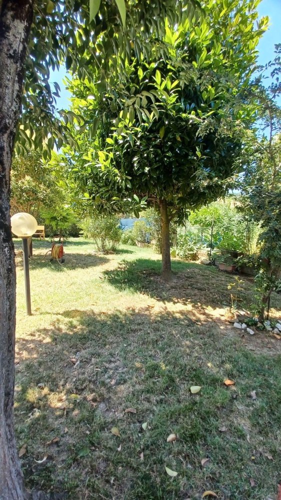 3 rooms Apartment in Pesaro, Italy No. 229136