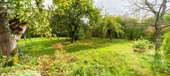6-Zimmer Haus in Romanswiller, France, Nr. 227274 12