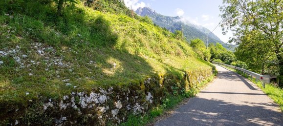 1520m² Land in Cesiomaggiore, Italy No. 135332 6