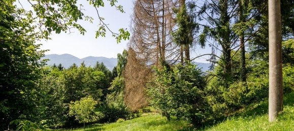 1520m² Land in Cesiomaggiore, Italy No. 135332 2