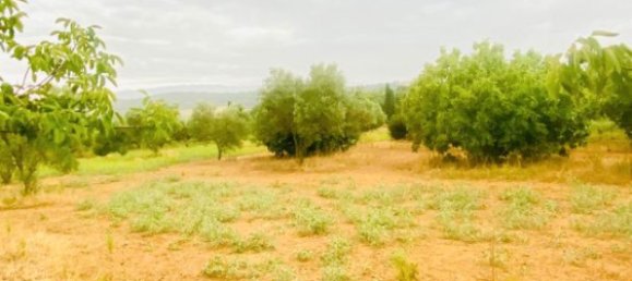 8200m² Land in La Bisbal D'emporda, Spain No. 170033 18