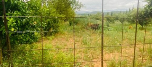 8200m² Land in La Bisbal D'emporda, Spain No. 170033 4