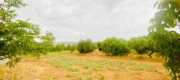 8200m² Land in La Bisbal D'emporda, Spain No. 170033 24