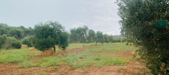 8200m² Land in La Bisbal D'emporda, Spain No. 170033 15