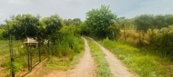 8200m² Land in La Bisbal D'emporda, Spain No. 170033 7