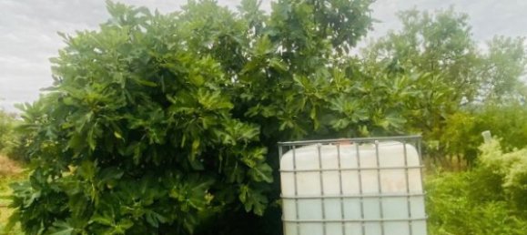 8200m² Land in La Bisbal D'emporda, Spain No. 170033 13