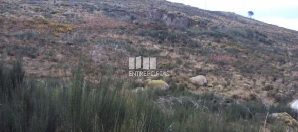 48000m² Land in Marco de Canaveses, Portugal No. 56220 4