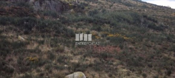 48000m² Land in Marco de Canaveses, Portugal No. 56220 6