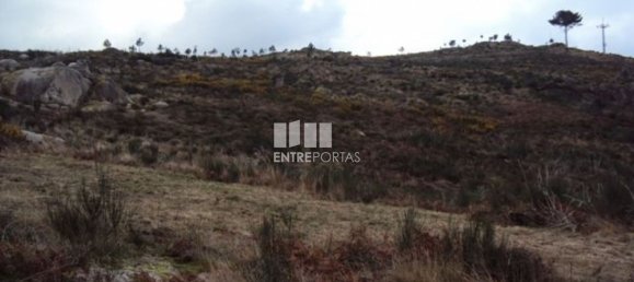 48000m² Land in Marco de Canaveses, Portugal No. 56220 2